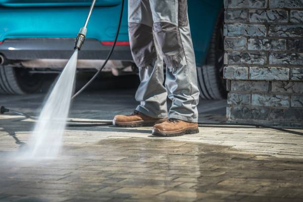 Best Roof Washing  in Lake Hamilton, FL